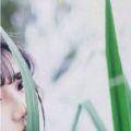 未艾