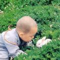壞水