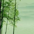 扶蘇公子