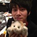 sj13elf