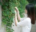 安然云朵
