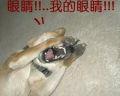 好名瞎狗眼
