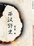 西漢野史 