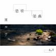置身于若有若無之間