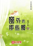 窗外的那些風