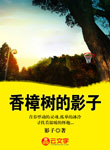 香樟樹的影子