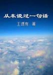 從未說過一句話