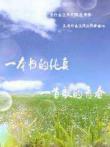 一本書的純真一首歌的青春
