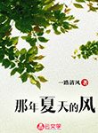 那年夏天的風