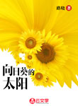 向日葵的太陽