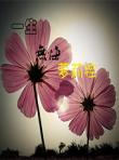一生無悔蘿莉控
