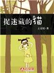 捉迷藏的貓