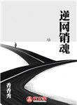 逆網銷魂