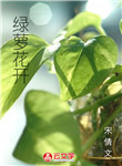 綠蘿花開(kāi)
